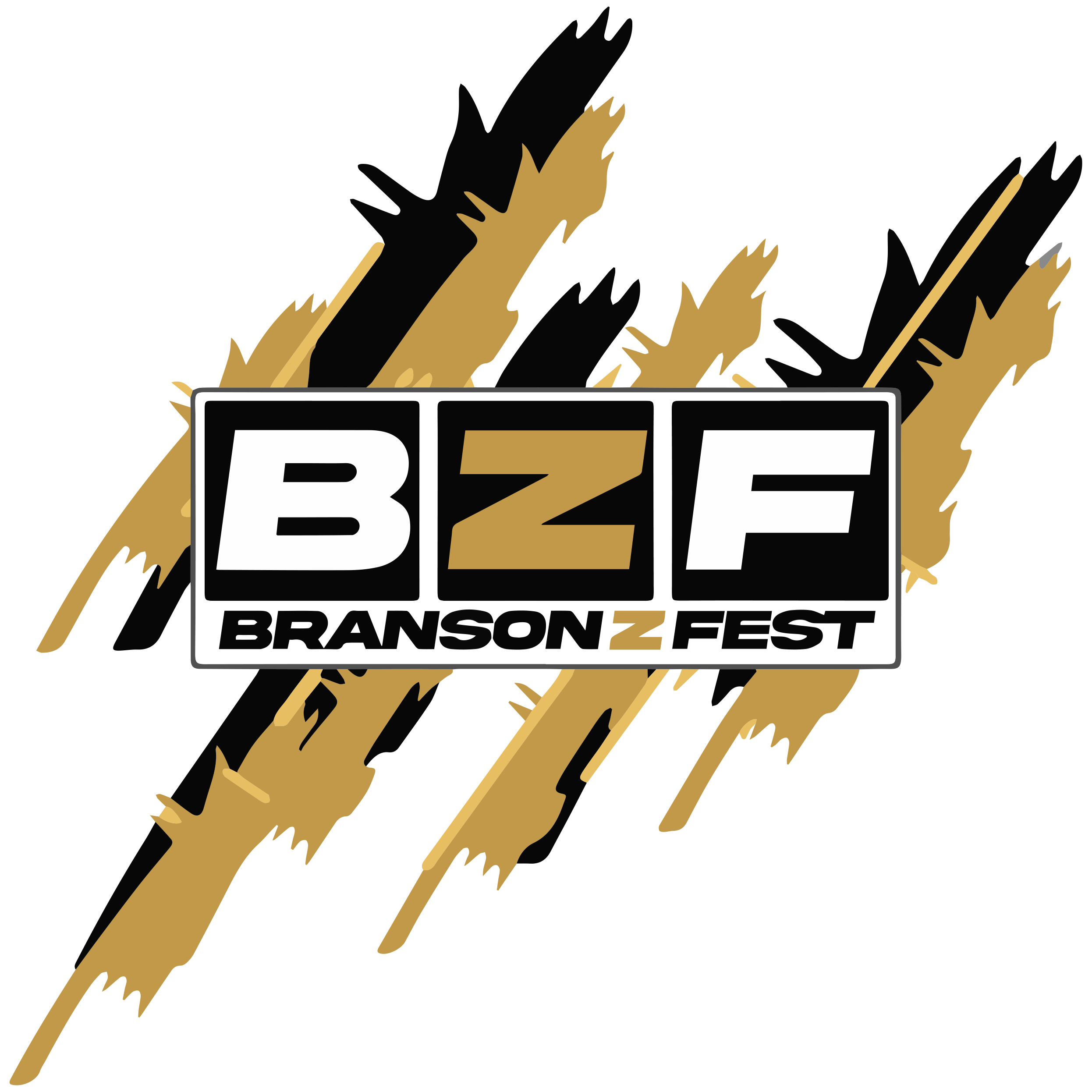 Branson Z Fest